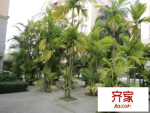 南湖公路局宿舍外景圖 