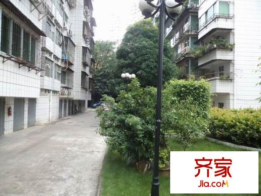 南毛生活區(qū)外景圖  3
