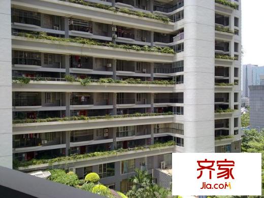 建興苑外景圖4