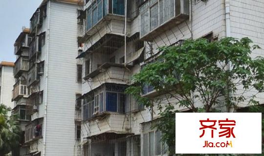 植物路信托公司宿舍外景圖植物路單位房5