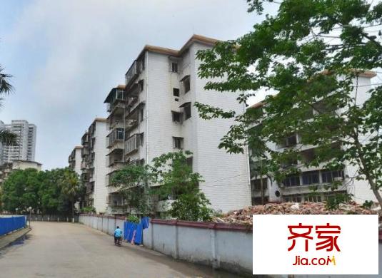 植物路信托公司宿舍外景圖植物路單位房6