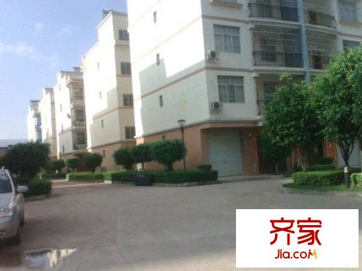 荷花園小區(qū)外景圖3