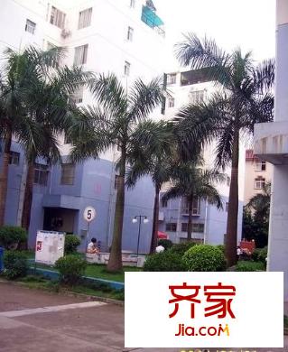 金地世家商住小區(qū)外景圖1