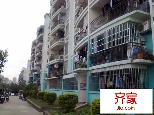 南毛生活區(qū)外景圖  2