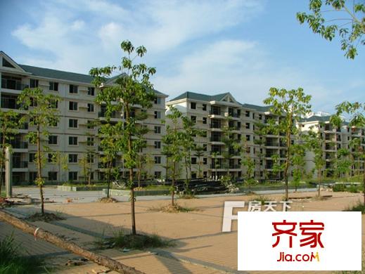 平安家園