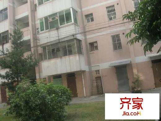 南毛生活區(qū)外景圖  7