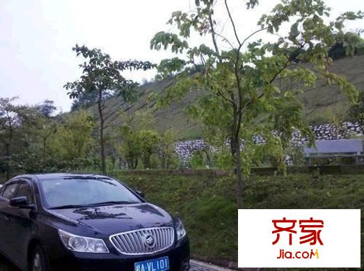 天廣和花園外景圖 
