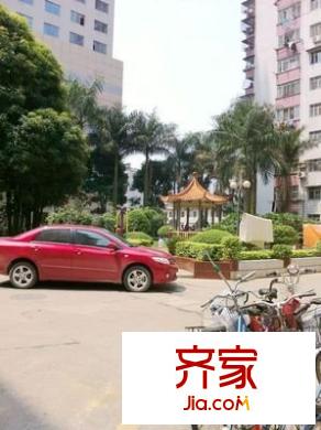 外貿(mào)大院外景圖外貿(mào)后院 