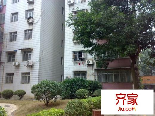 外貿(mào)大院外景圖外貿(mào)后院 
