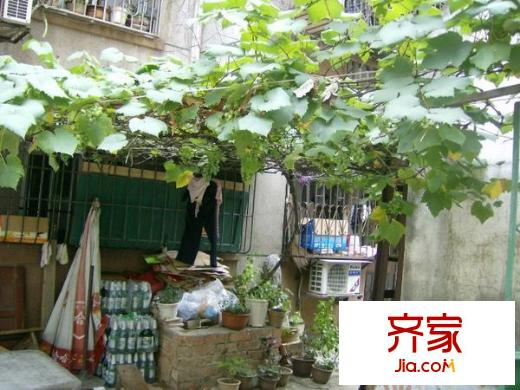 衡陽路28號小區(qū)外景圖