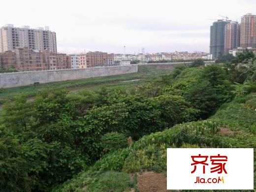 荷花園小區(qū)外景圖1