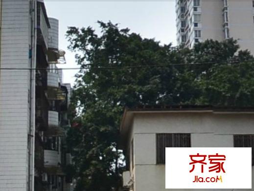 新新小區(qū)外景圖 