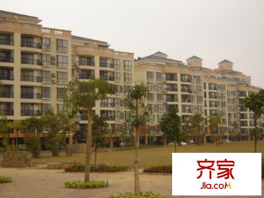秋月藍(lán)灣外景圖秋月3