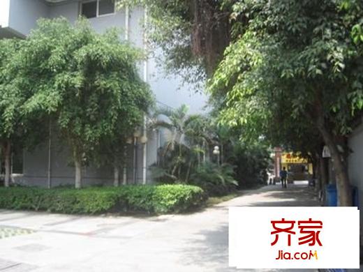碧園數(shù)碼城外景圖 