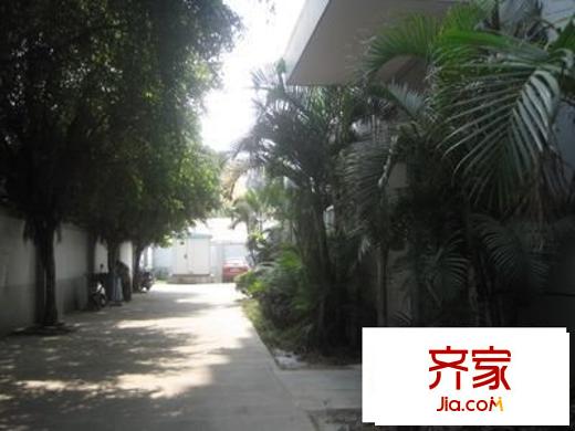 碧園數(shù)碼城