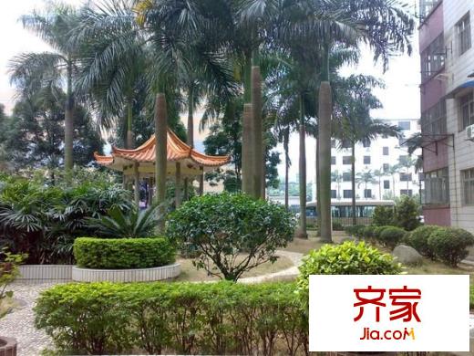 外貿(mào)大院外景圖外貿(mào)后院 