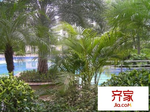 保利21世家外景圖 