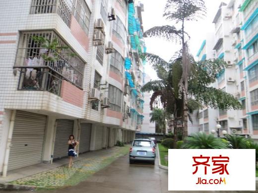 竹苑二區(qū)外景圖 