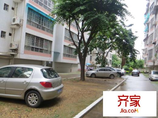 竹苑二區(qū)外景圖 
