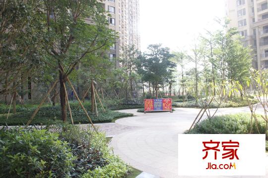 森林假日?qǐng)@林實(shí)景(2015-10-7)