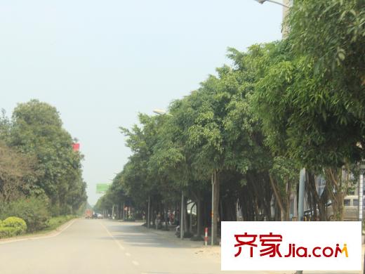 中房碧翠園配套圖八桂綠城前的壯錦大道（2013.6.1）