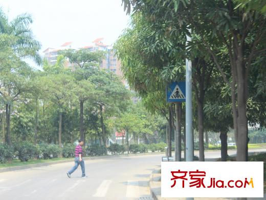 中房碧翠園配套圖八桂綠城前的壯錦大道（2013.6.1）