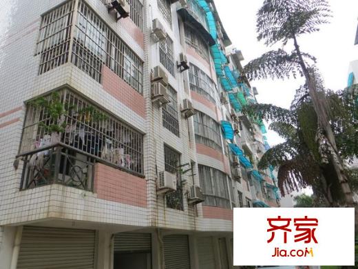 竹苑二區(qū)外景圖 