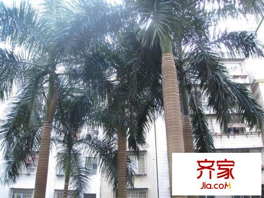建政小區(qū)外景圖 