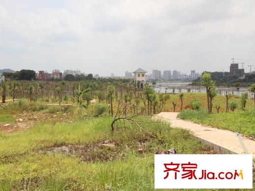 港保苑濱江公園（2014-5-23）