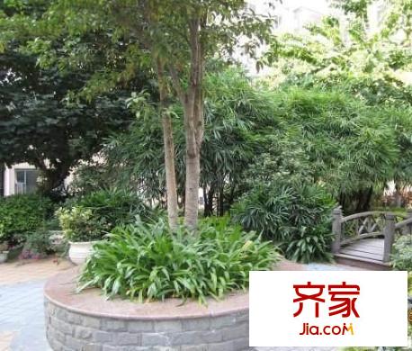 未來(lái)小區(qū)外景圖 