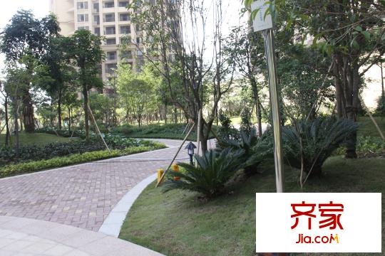 森林假日?qǐng)@林實(shí)景(2015-10-7)