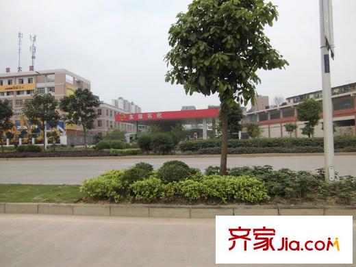 森林假日周邊的友誼加油站