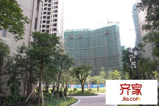 森林假日?qǐng)@林實(shí)景(2015-10-7)