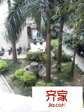 建政