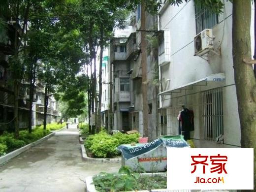 路橋一區(qū)外景圖 