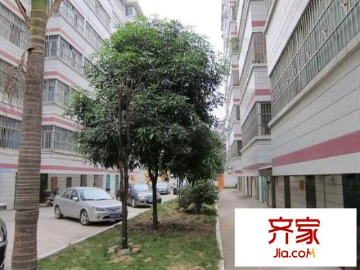 路橋一區(qū)外景圖 