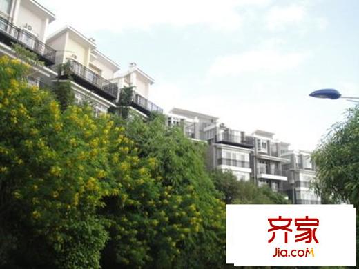 麗江花園外景圖 