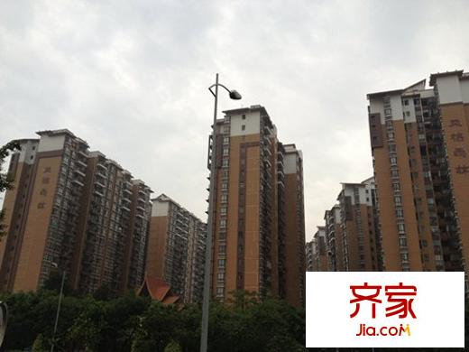 風格雨林外景圖風格?雨林 