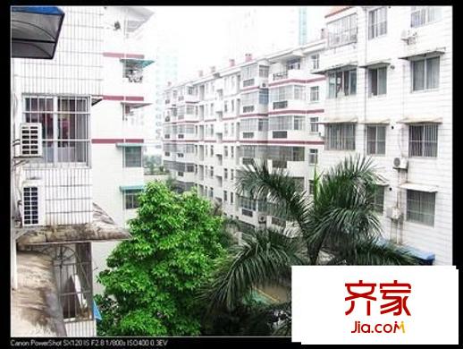 東葛路農(nóng)行宿舍外景圖 