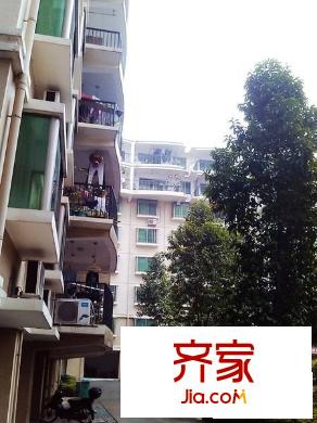 未來(lái)小區(qū)外景圖 
