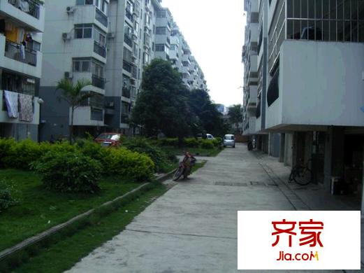 麗江花園外景圖 