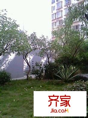 麗江花園外景圖 