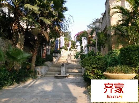 楓林藍(lán)岸外景圖住宅 