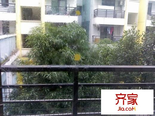 金康天和人家外景圖 