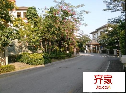 楓林藍(lán)岸