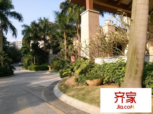 楓林藍(lán)岸外景圖住宅 