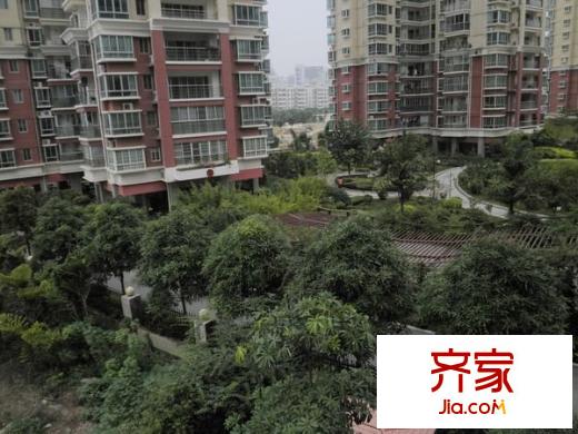 中茵麗景豪庭外景圖 