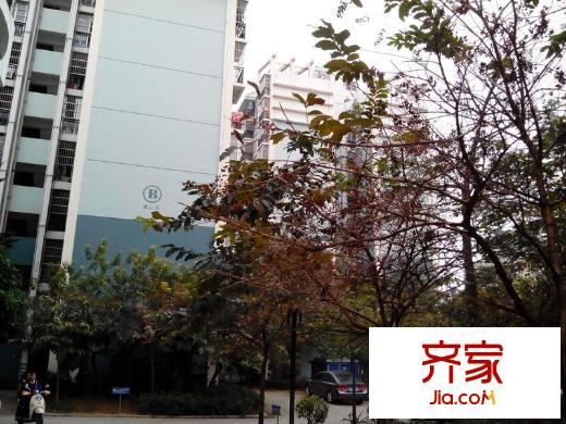 萬秀小區(qū)外景圖 