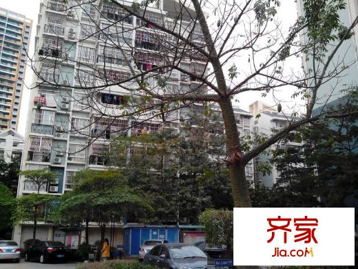 萬秀小區(qū)外景圖 