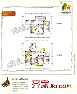 倚林佳園戶型圖E1型 5室3廳3衛(wèi)1廚